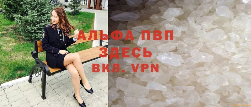 omg рабочий сайт  Бородино  Alfa_PVP СК КРИС 